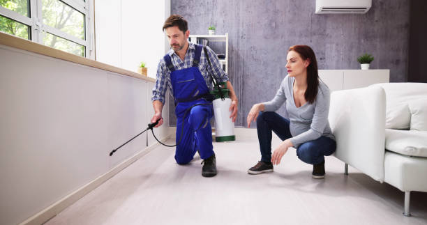 Best Pest Prevention Services  in Rockland, ME